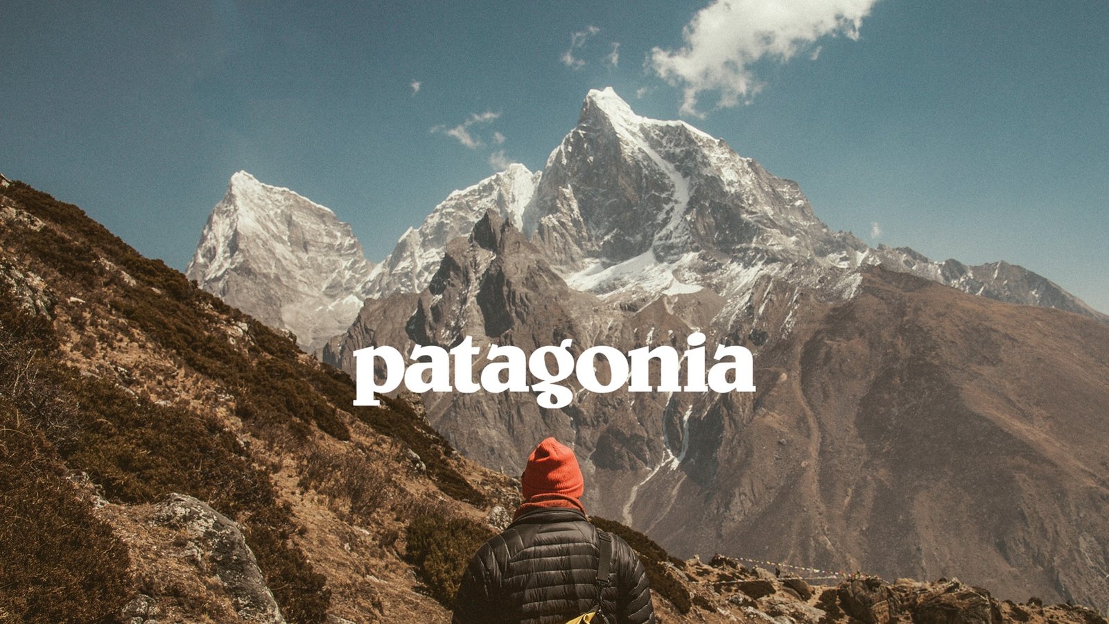 patagonia brand